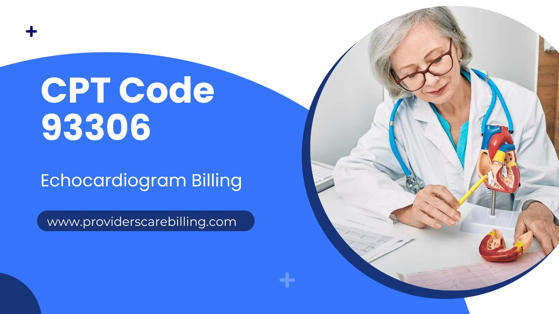 93306, CPT Code 93306
