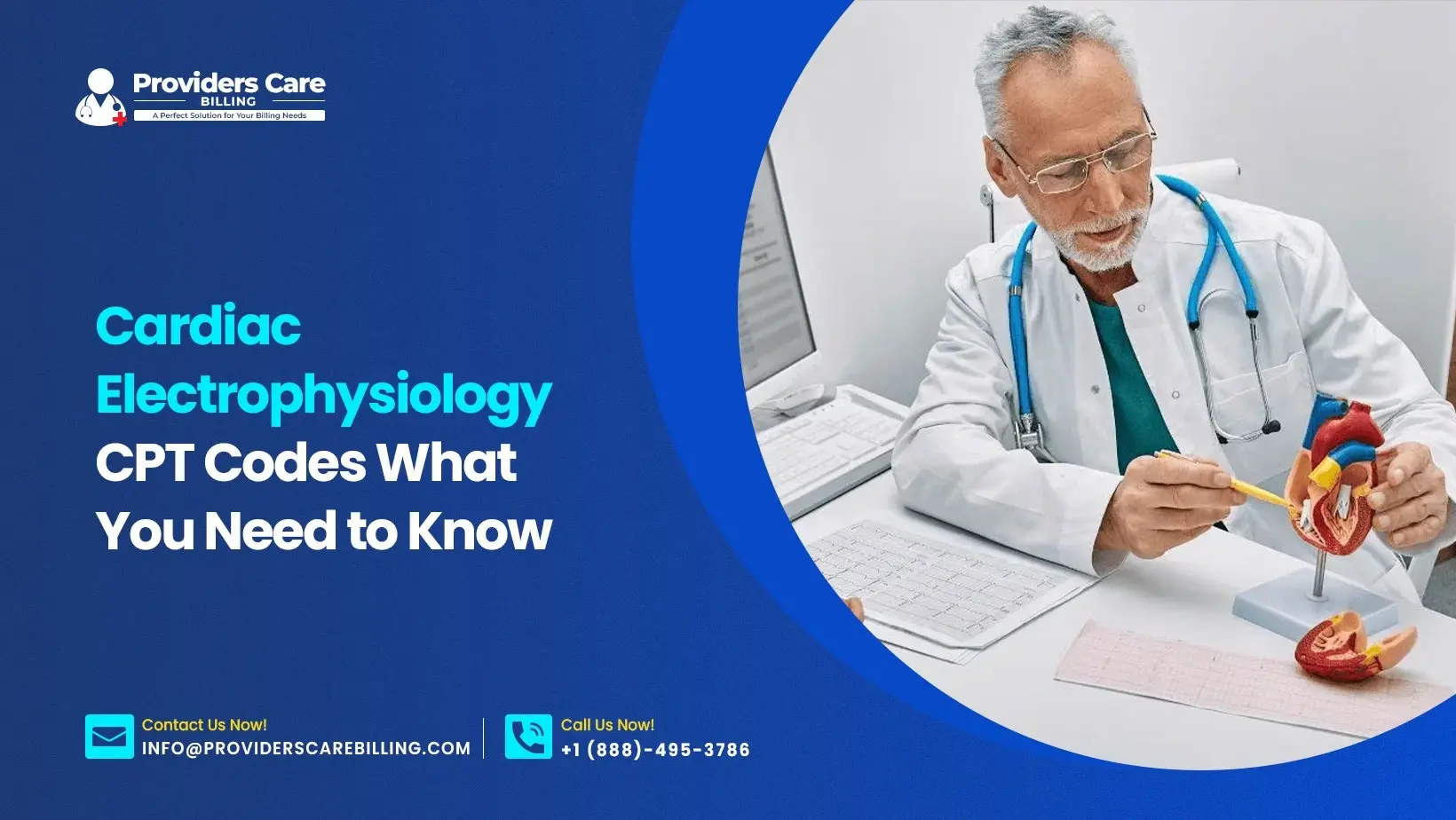 Cardiac Electrophysiology CPT Codes: What You Need to Know